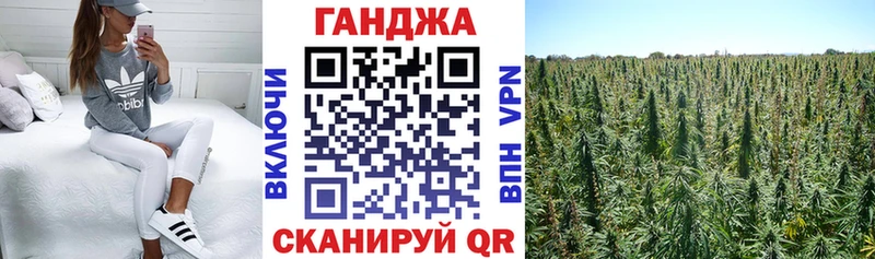 Канабис сатива  Назарово 